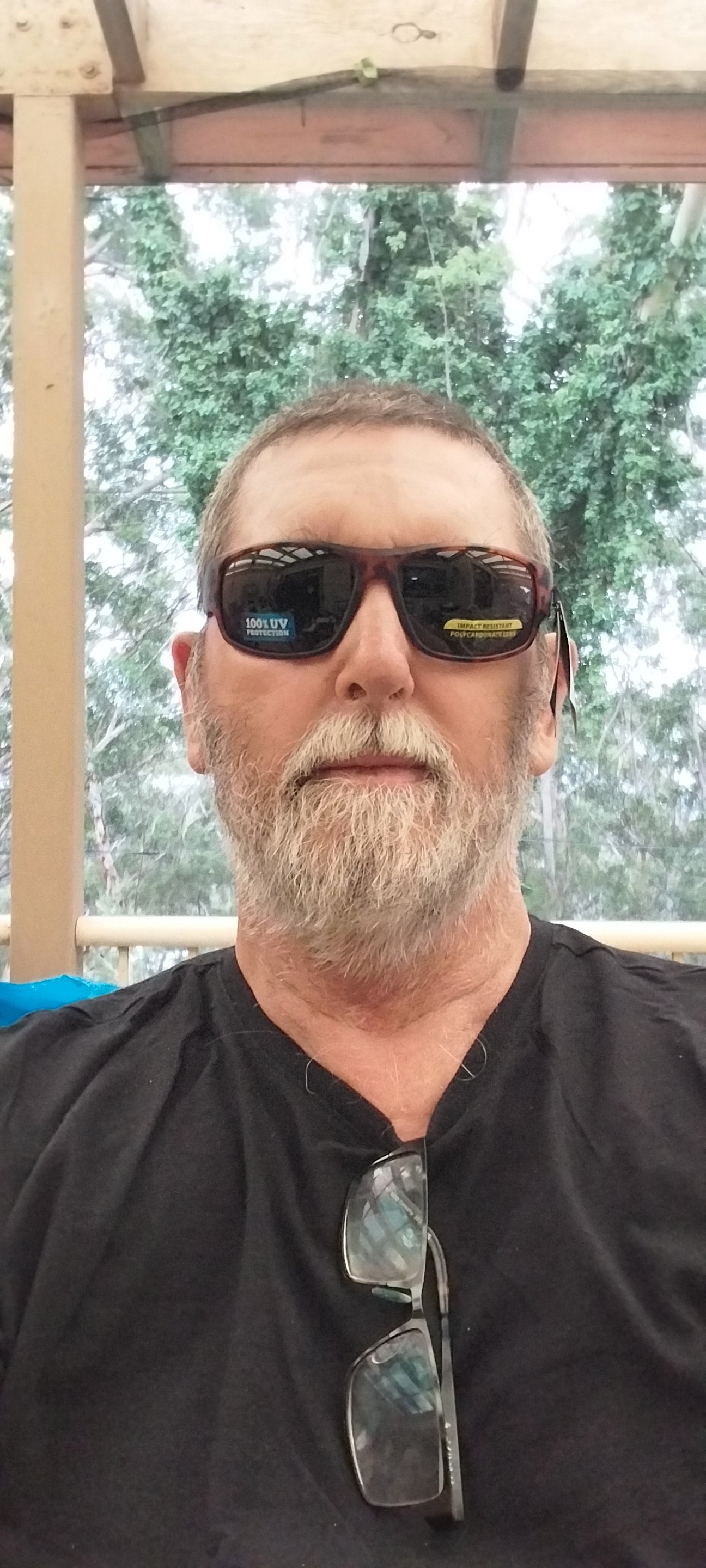 Shore Line Sunglasses S4766SHD